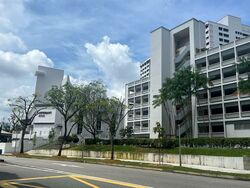 Blk 518 Jelapang Road (Bukit Panjang), HDB 4 Rooms #382620611